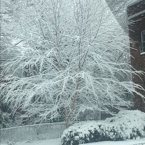 Meet your Posher, Yesenia